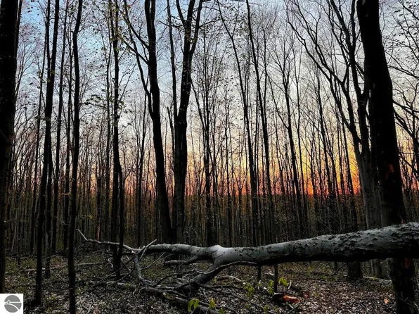 0 Oestman Dr NE, Kalkaska, MI 49646