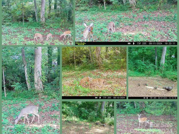 1116 & 1104 Kensington Cir, Newton, NC 28658