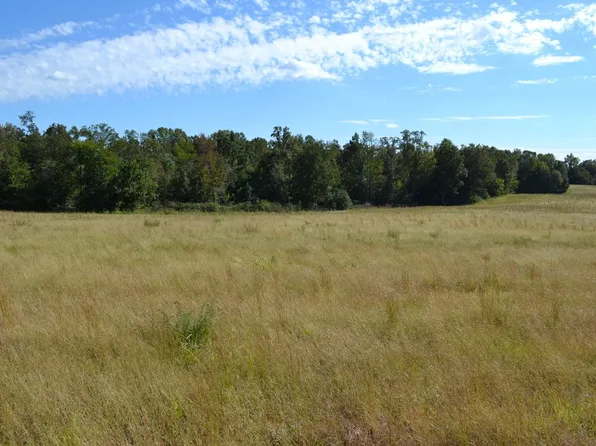 2 Hayes Ridge Rd Lot 2, Indian Mound, TN 37079