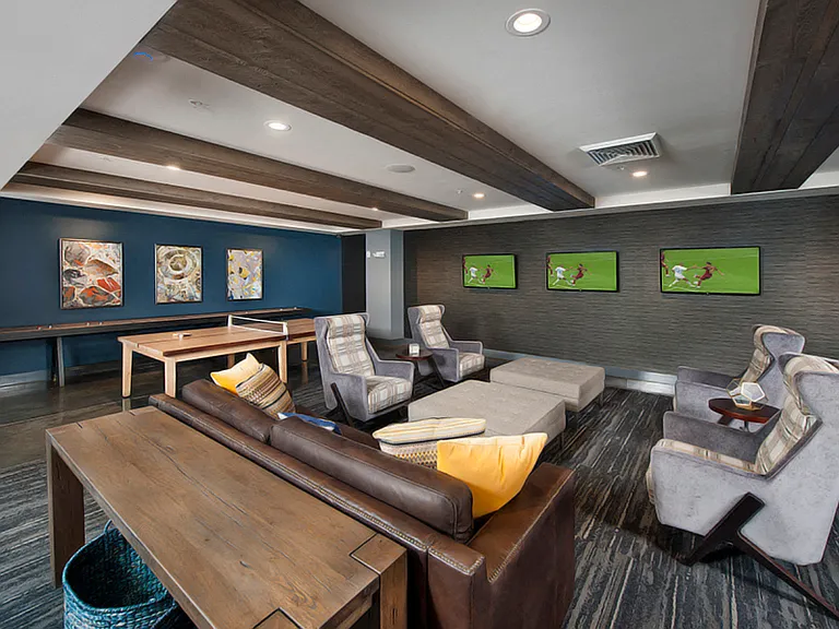 TV and Media Room