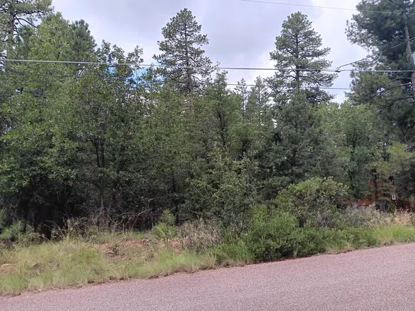 LOT 24 N Strawberry Ln, Pine, AZ 85544