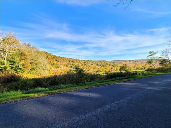 Keller Road, Callicoon Center, NY 12724