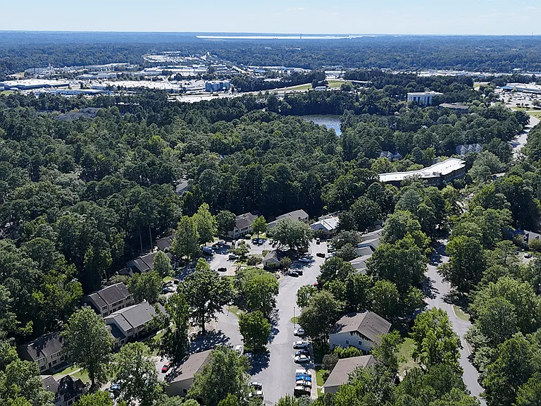 Bird's Eye View of the Community