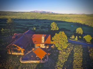 3999 County Road M44, Placerville, CO 81430