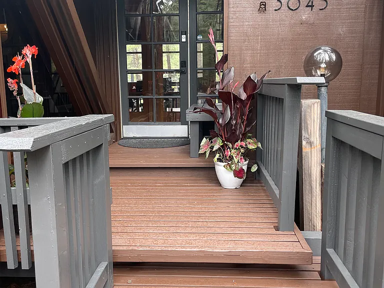 Deep Forest Dr — Photo 40