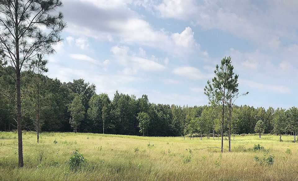 1st image of Lot 12 Timbercrest (cook)