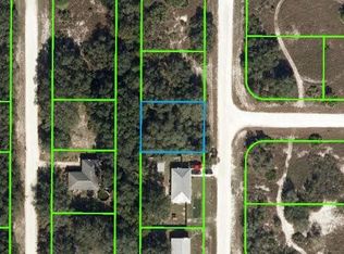 437 Calumet Rd, Avon Park, FL 33825