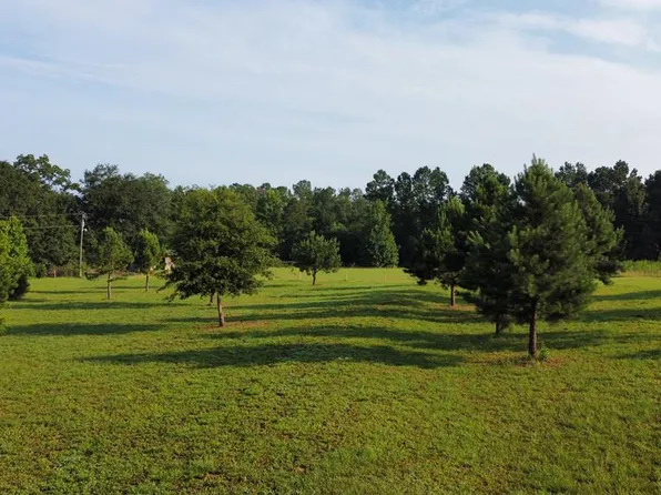 1001 Crawford Rd, Cowarts, AL 36321