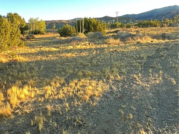 0 Elsinore Rd, Pinon Hills, CA 92372