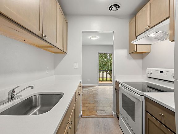 Modern Kitchen
