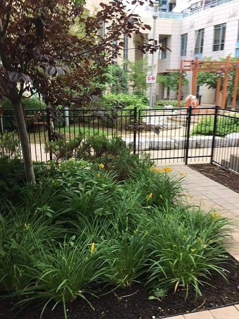2nd image of 31 Olive Ave #111
