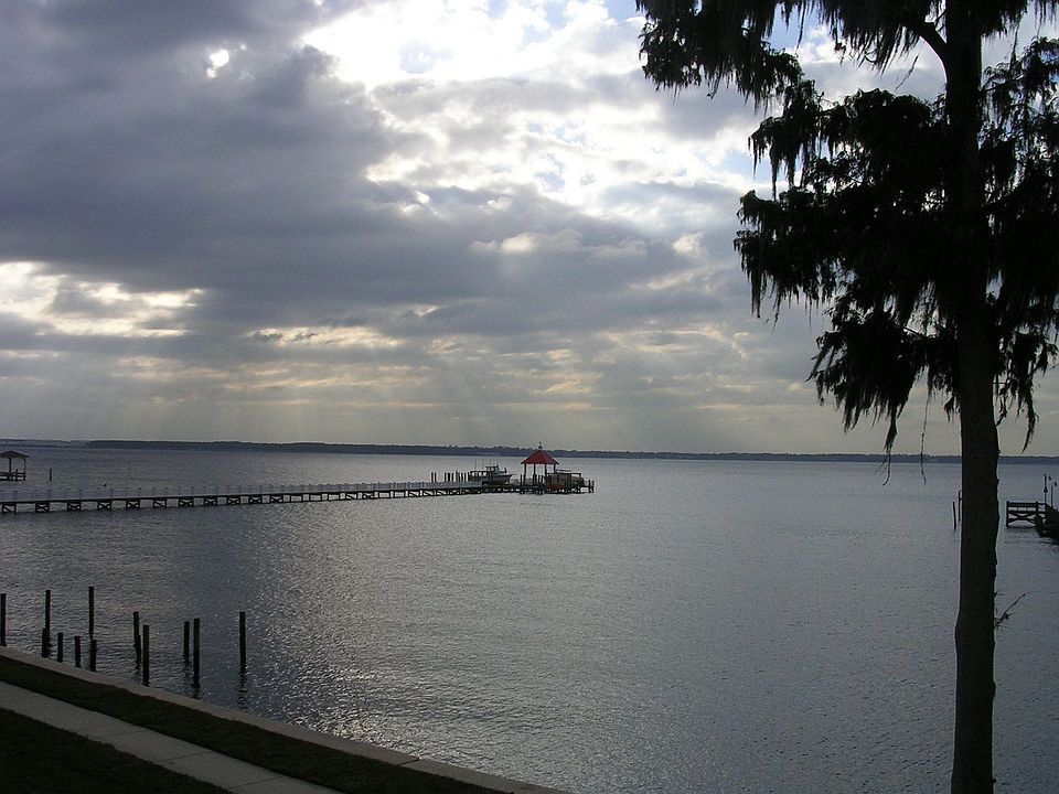 View from Living Room