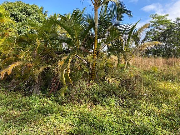 4th image of 13th Avenue Kukui Lot 584