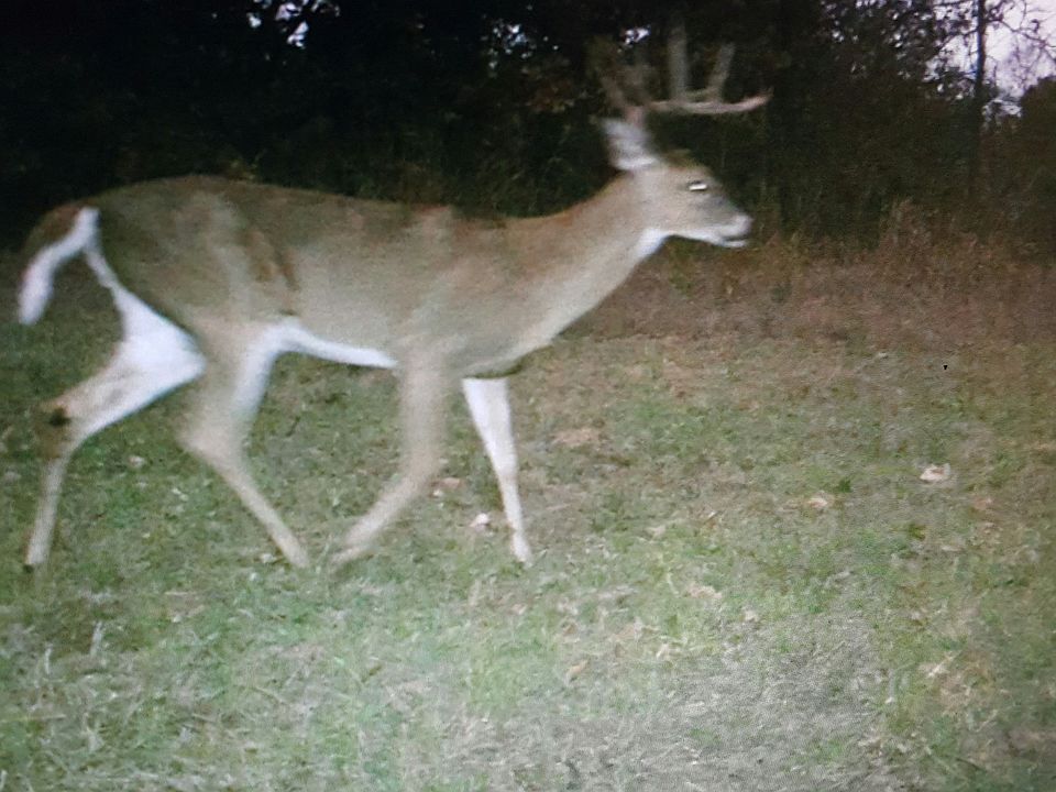 1st image of 9749 S 433rd West Ave