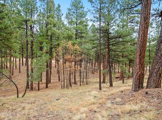 4631 N Creekside Ln, Flagstaff, AZ 86001