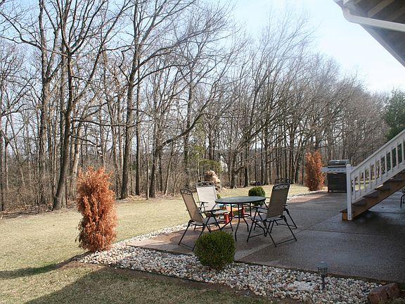 Back Patio and Woods