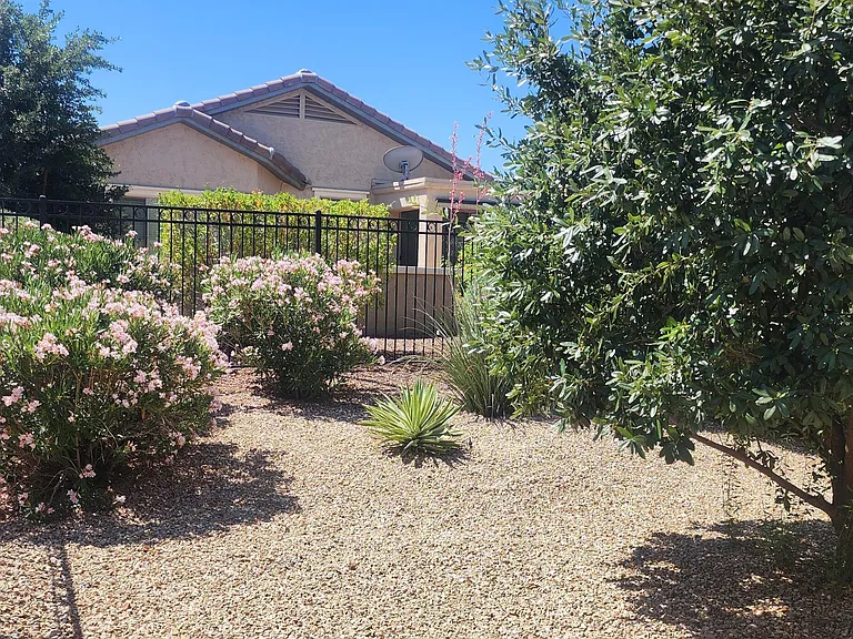 26195 W Via Del Sol Dr — Photo 23