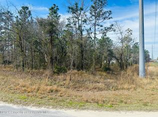 0 Duck Hawk Rd, Weeki Wachee, FL 34614