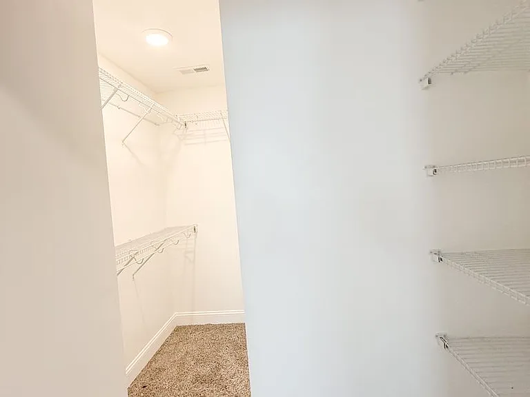 796 Lillian Grace Dr — Photo 11