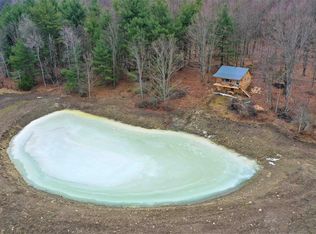 0 Freeland Rd, Woodhull, NY 14898