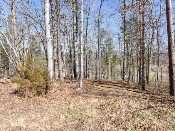 Fairway Cir, Townsend, TN 37882