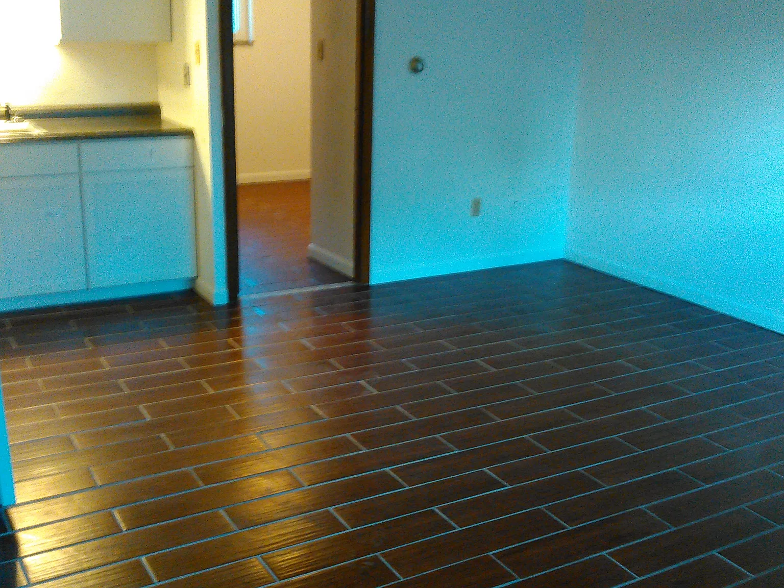 1 bed, 450 sqft, $600 — Photo 2
