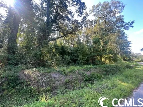 TBD Luck Rd., Galivants Ferry, SC 29544