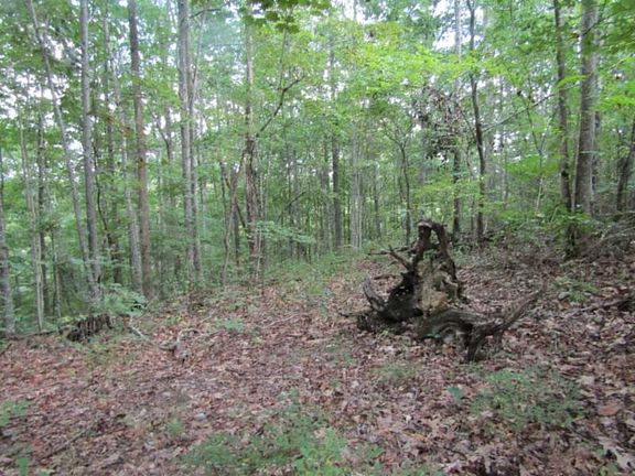 2nd image of Backwoods Trl Lot 2