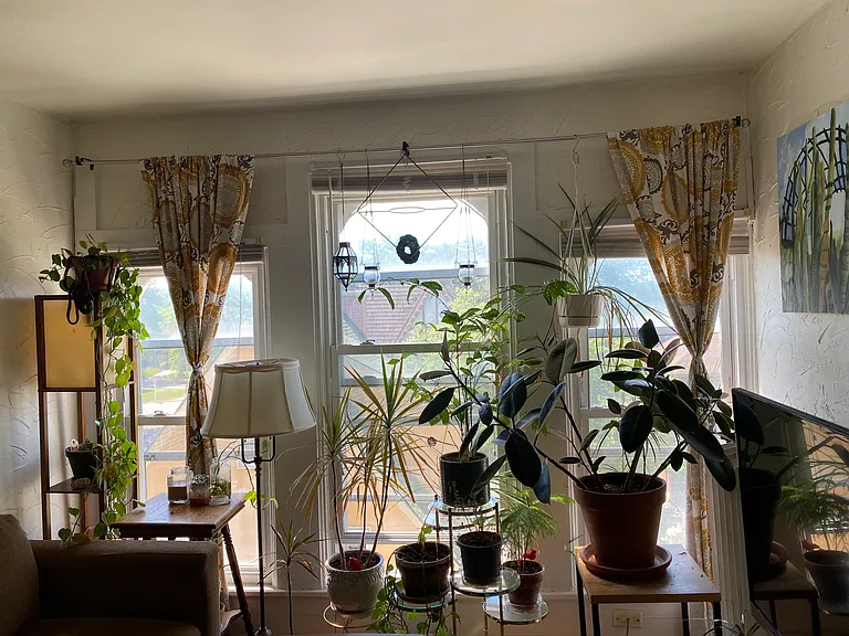 2825 N Downer Ave — Photo 8