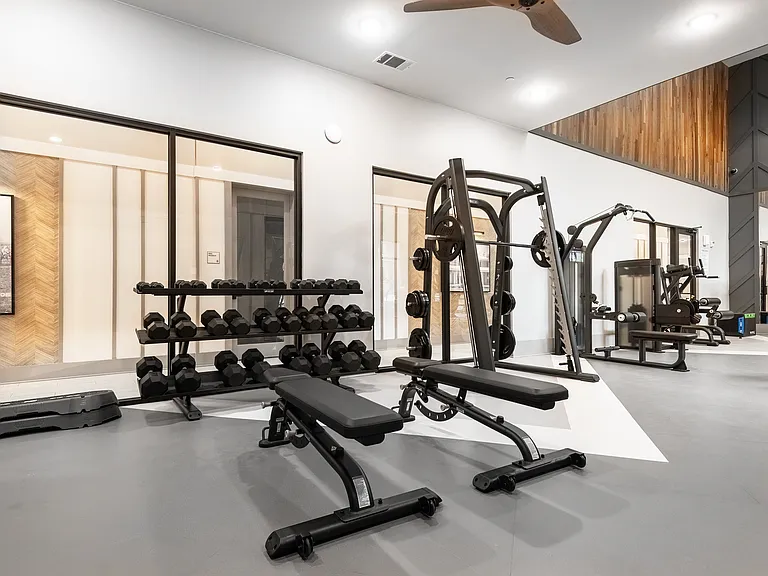 Gym With Free Weights, Benches, And Squat Rack