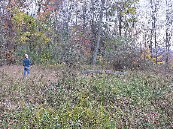 Cleared with Amazing View