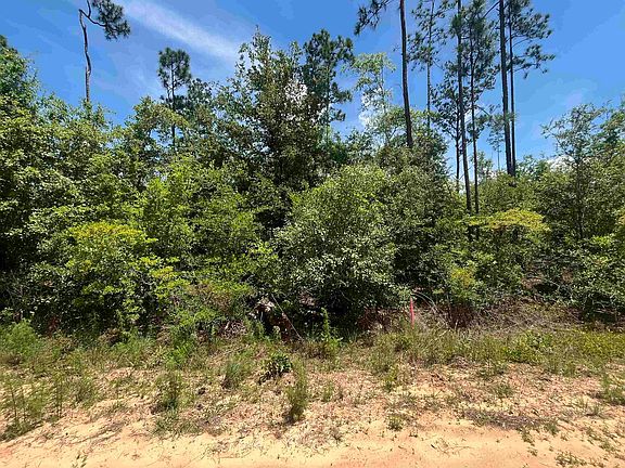 3rd image of Tamarac Rd