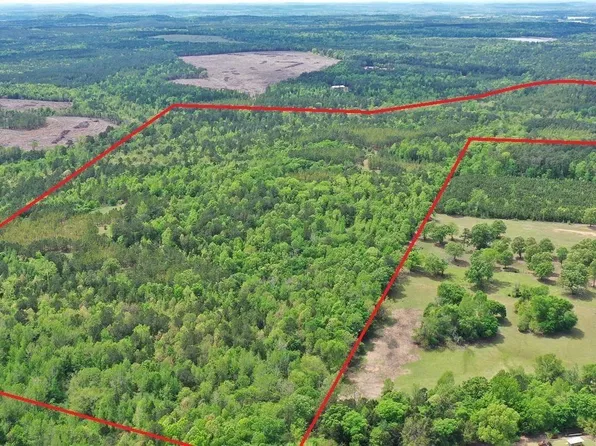County Road 1592, Avinger, TX 75630