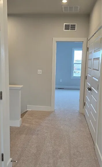 10123 Blue Wing Ln — Photo 25