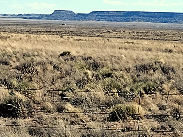 TRACT 517 Painted Desert Rnch, Holbrook, AZ 86025