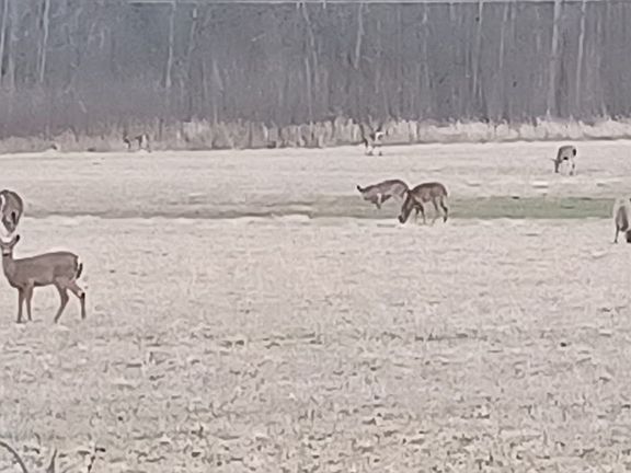 2nd image of 1460 Sexton Rd
