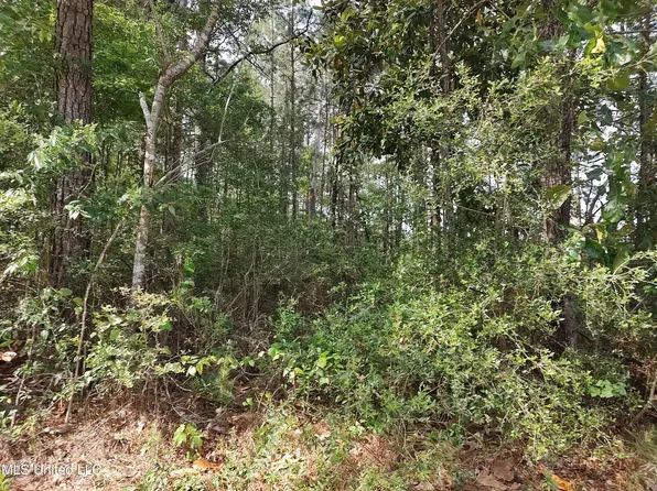 No Magnolia Ln Lot 9, Poplarville, MS 39470