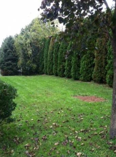 Private yard