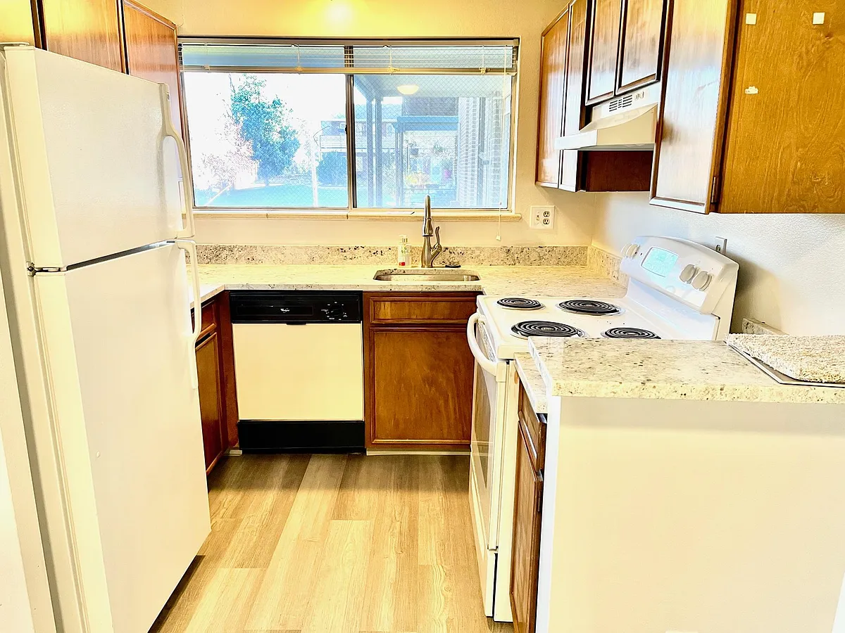 New flooring and stone counter tops in the newly updated kitchen. Dishwasher, electric stove top & oven, spacious fridge etc. - 875 Alpine Ave #10
