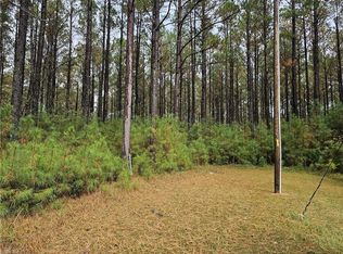 344AC Carsley Rd, Waverly, VA 23890