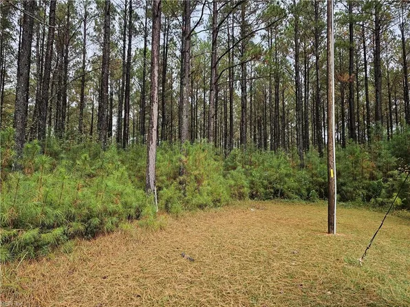 344AC Carsley Rd, Waverly, VA 23890