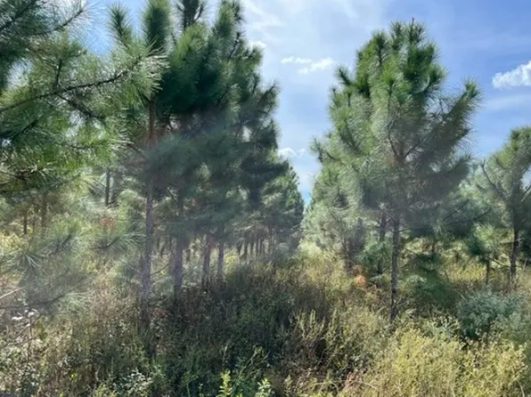 0 State Route 51 End S, Live Oak, FL 32060