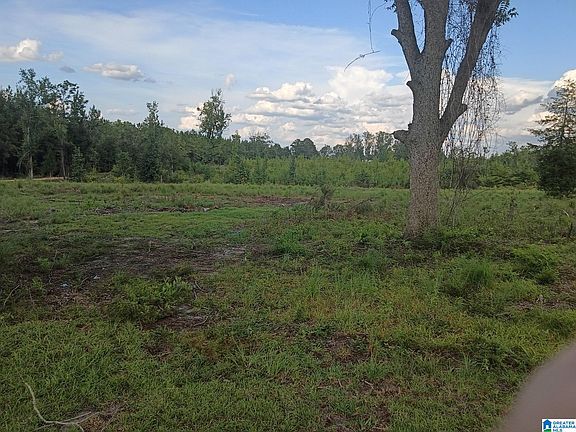 5th image of 23938 Rosin Ridge Rd