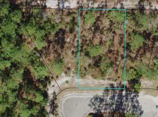 354 Royal Tern Way, Carrabelle, FL 32322