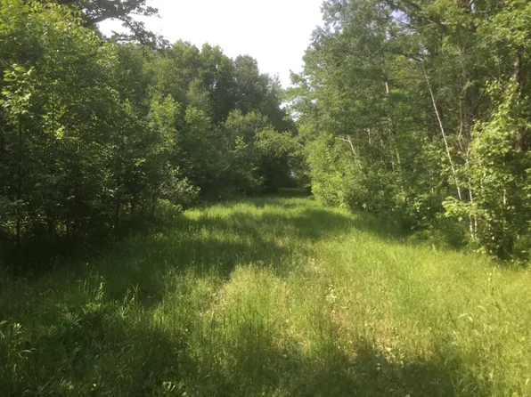 Xxx 330th St, Onamia, MN 56359