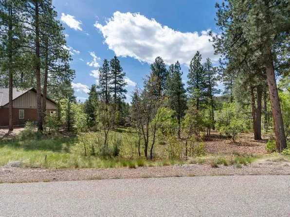 47 Needle Creek Court, Durango, CO 81301