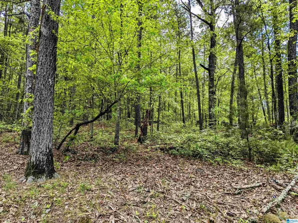 Woodcrest Dr #122, Talladega, AL 35160