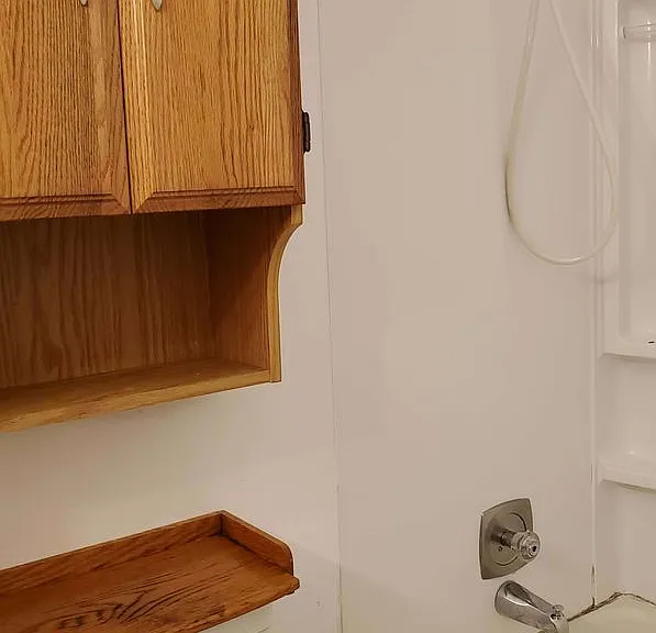 8100 Mount Snow Dr — Photo 11