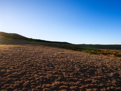 6030 Larimer Rd, Hartsel, CO, 80449