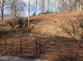 Tbd Heaton Ridge Rd, Roan Mountain, TN 37687